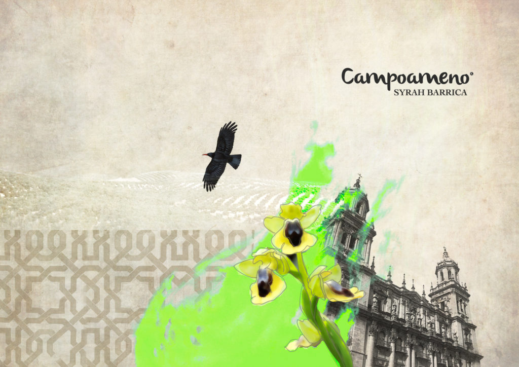 La catedral de Jaén y la Chova Piquirroja protagonizan la etiqueta del Campoameno Syrah Barrica.