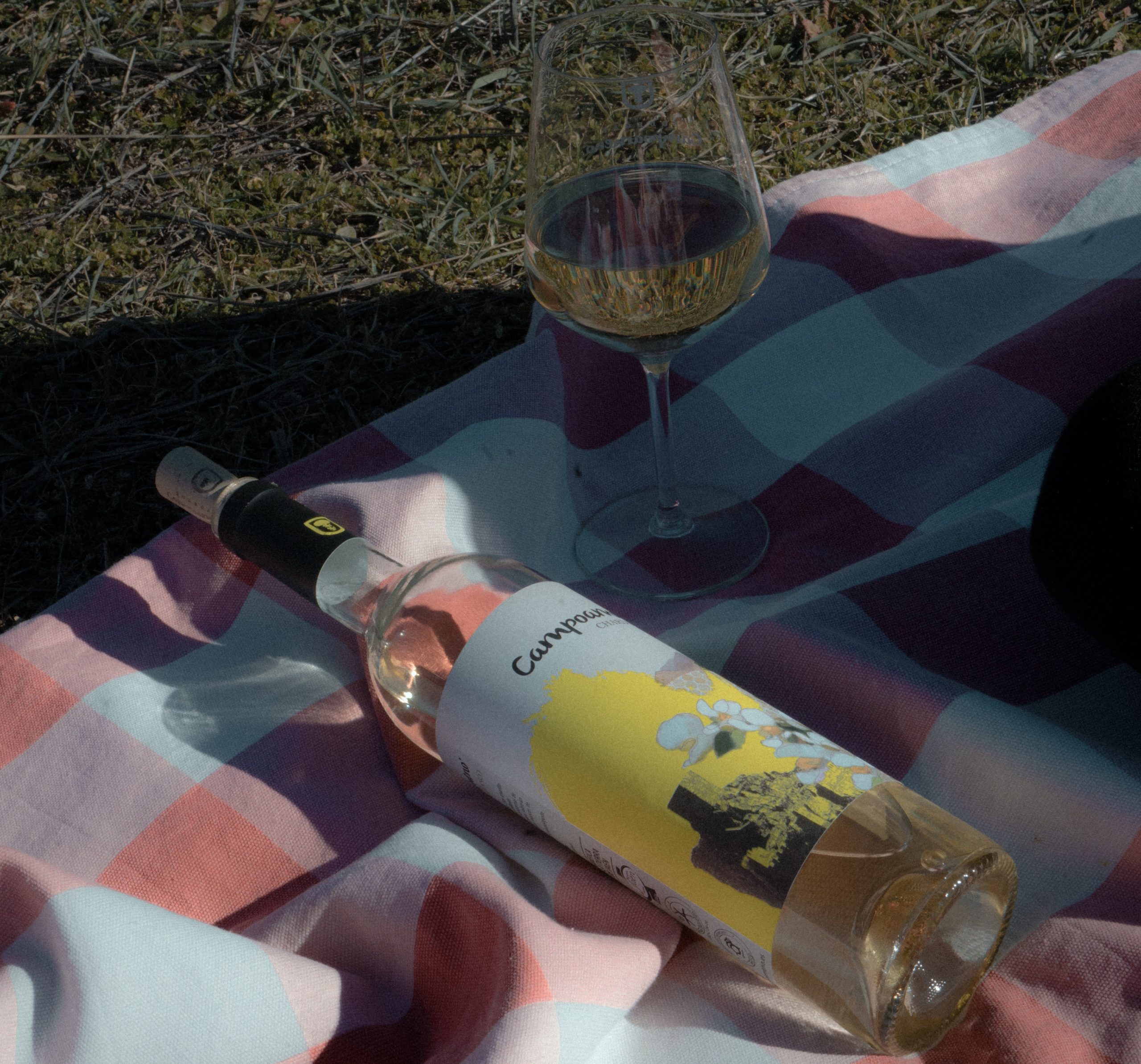 LAS 5 CLAVES DEL CAMPOAMENO CHARDONNAY SEGÚN NUESTRA ENÓLOGA